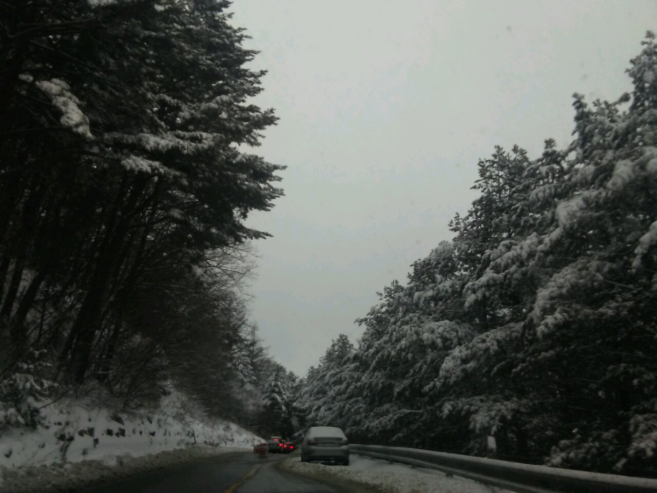 Cars on a snowy tree-lined road at Yongpyong Resort in January 2024