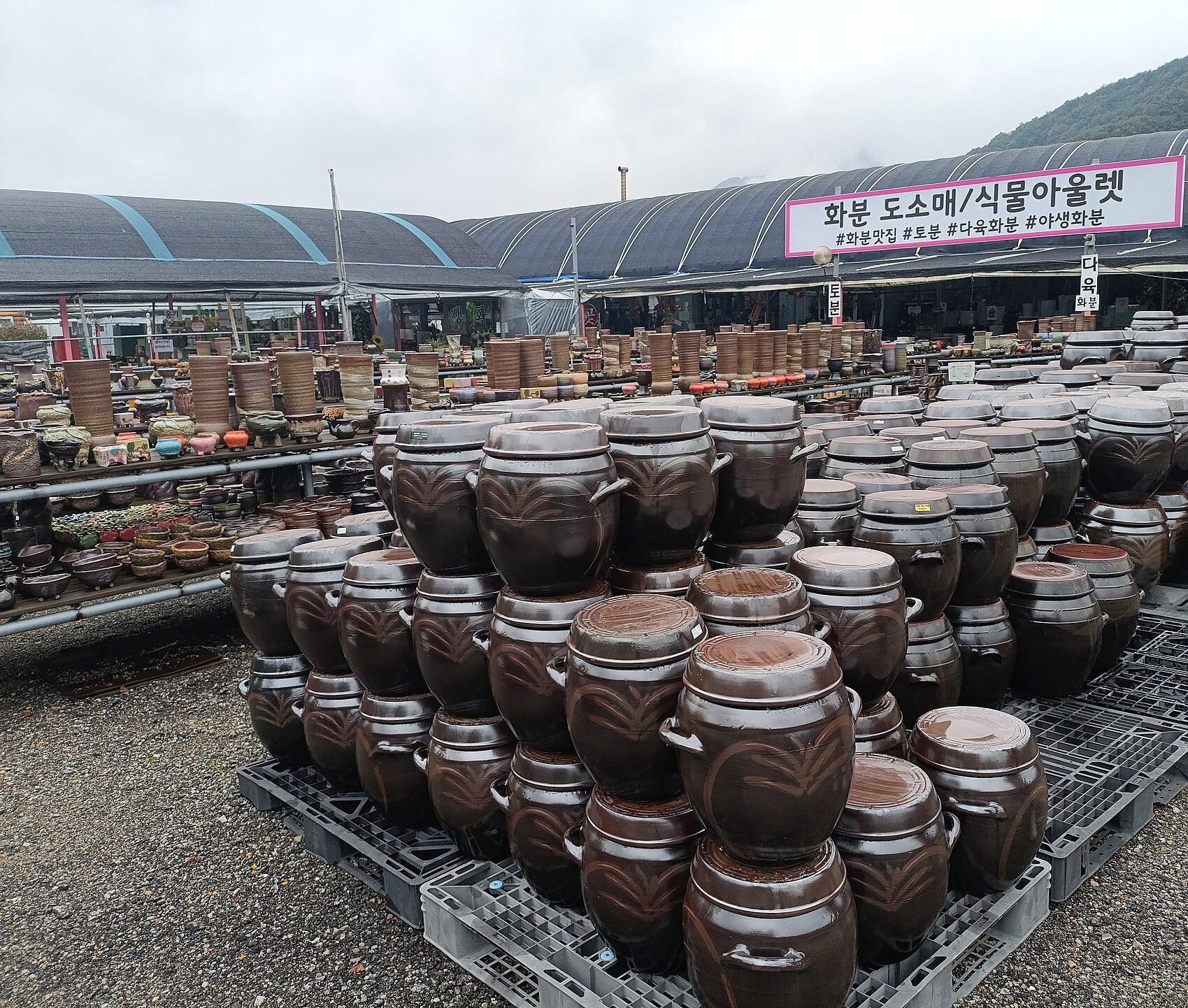 Stacks of glossy dark brown onggi jars with lids on pallets at an outdoor pottery yard.